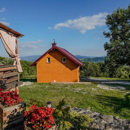 Na Modyni, Dwa Z Ruska Balia I Sauna *